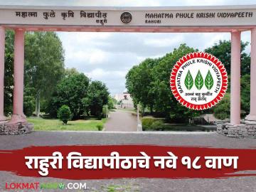 शेतकऱ्यांसाठी गुडन्यूज राहुरी कृषी विद्यापीठाचे १८ नवीन वाण देशपातळीवर प्रसारित - Marathi News | Good News for Farmers 18 New Varieties of Rahuri Agricultural University Released Nationwide | Latest News at Lokmat.com