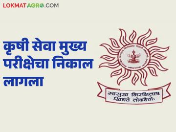 कृषी सेवा मुख्य परीक्षेचा निकाल अखेर सहा महिन्यांनी जाहीर; पुढील प्रक्रिया कशी असणार? - Marathi News | The results of the Agricultural Services Mains Examination will finally be announced after six months; What will be the next process? | Latest News at Lokmat.com