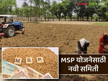 MSP GR : शेतमाल हमीभाव खरेदीतील गैरप्रकार टाळण्यासाठी महत्वाचा जीआर, काय आहे निर्णय  - Marathi News | Latest News Important GR to prevent irregularities in purchase of agricultural commodities at guaranteed price | Latest News at Lokmat.com