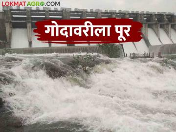 Jayakwadi Dam Water Level : मुळा, सीना धरणातून मोठा विसर्ग जायकवाडीत आलं किती पाणी - Marathi News | Jayakwadi Dam Water Level: How much water has come into Jayakwadi from Mula, Seena Dam | Latest News at Lokmat.com