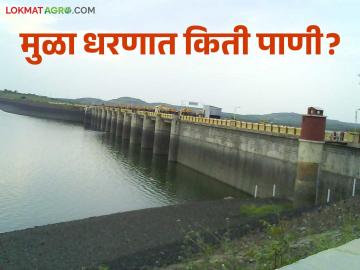 Mula Dam Water : मुळा धरणाच्या पाणीसाठ्यात मोठी घट; शेतीसाठी सुरु आहे शेवटचे आवर्तन - Marathi News | Mula Dam Water : Huge reduction in water storage of Mula Dam; Last round of irrigation for agriculture begins | Latest News at Lokmat.com