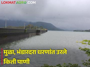 मुळा धरणामध्ये ६२ तर भंडारदरात ५८ टक्के पाणीसाठा - Marathi News | 62 percent water storage in Mula dam and 58 percent water storage in Bhandardara | Latest News at Lokmat.com