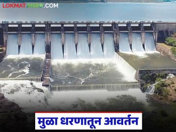 मुळा धरणातून सुटणार आवर्तन, 21 दिवस आवर्तन चालणार, पाणी मिळणार टेल टू हेड - Marathi News | Latest news Circulation will be released from Mula Dam, circulation will continue for 21 days | Latest News at Lokmat.com