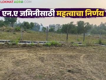 जमीन 'एनए' करण्यासाठी आता परवानगीची गरज नाही; काय आहे नवीन निर्णय? वाचा सविस्तर - Marathi News | Permission is no longer required to make land NA; What is the new decision? Read in detail | Latest News at Lokmat.com