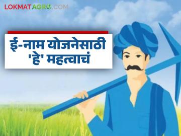 E Naam Yojana : आता ई-नाम योजनेत सहभागी व्हायचं असल्यास 'हे' बंधनकारक, वाचा सविस्तर - Marathi News | Latest News Now adhar card is mandatory for subsidy under e-NAM scheme, read in detail | Latest News at Lokmat.com