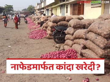 यंदा नाफेडमार्फत थेट बाजार समित्यांमधून कांद्याची खरेदी? अत्याधुनिक कांदा चाळींची उभारणी 