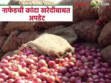 Nafed Kanda Kharedi : नाफेड कांदा खरेदी याच आठवड्यात? जाणून घ्या सविस्तर - Marathi News | Latest News Nafed Kanda Kharedi Nafed onion procurement to start in three-four days says nashik nafed manager | Latest News at Lokmat.com Nafed Kanda Kharedi : नाफेड कांदा खरेदी याच आठवड्यात? जाणून घ्या सविस्तर - Marathi News | Latest News Nafed Kanda Kharedi Nafed onion procurement to start in three-four days says nashik nafed manager | Latest News at Lokmat.com