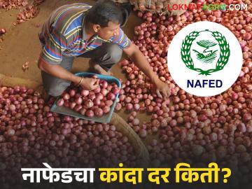Nafed Kanda Kharedi : नाफेडच्या कांदा खरेदीचा भाव ठरला? अन् बाजारात काय दर मिळतोय? - Marathi News | Latest news Nafed kanda kharedi Nafed's onion purchase price has been decided | Latest News at Lokmat.com Nafed Kanda Kharedi : नाफेडच्या कांदा खरेदीचा भाव ठरला? अन् बाजारात काय दर मिळतोय? - Marathi News | Latest news Nafed kanda kharedi Nafed's onion purchase price has been decided | Latest News at Lokmat.com