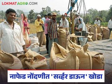 NAFED Registration : शेतकऱ्यांच्या ठशात अडकलं हमीभावाचं स्वप्न; नाफेडच्या नियमांनी वाढवलं संकट - Marathi News | latest news NAFED Registration: Farmers' dream of guaranteed price stuck; NAFED rules exacerbated the crisis | Latest News at Lokmat.com NAFED Registration : शेतकऱ्यांच्या ठशात अडकलं हमीभावाचं स्वप्न; नाफेडच्या नियमांनी वाढवलं संकट - Marathi News | latest news NAFED Registration: Farmers' dream of guaranteed price stuck; NAFED rules exacerbated the crisis | Latest News at Lokmat.com