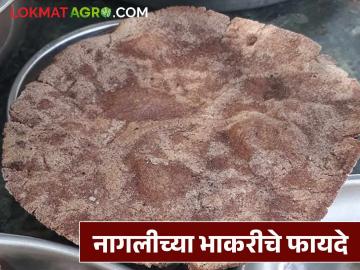 Naglichi Bhakar : नागलीची भाकर कशी बनवायची, या भाकरीने खरंच वजन कमी होतं का? - Marathi News | Latest News ragi How to make Nagli bhakar, naglichi bhakar really help you lose weight Read in detail | Latest News at Lokmat.com