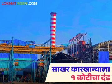 पर्यावरणाला हानी पोहोचल्याने 'या' साखर कारखान्याला तब्बल १ कोटीचा पर्यावरणीय दंड - Marathi News | This sugar factory faces environmental fine of Rs 1 crore for damaging the environment | Latest News at Lokmat.com