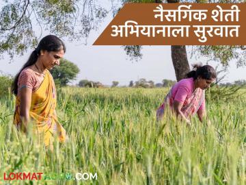 Natural Farming : महाराष्ट्राला नैसर्गिक शेतीचे पुढचे हब बनवू - मुख्यमंत्री देवेंद्र फडणवीस  - Marathi News | Latest News Organic Farming Let's make Maharashtra the next hub of natural farming says Chief Minister Devendra Fadnavis | Latest News at Lokmat.com
