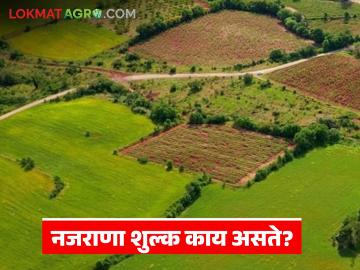 भोगवटादार वर्ग-2 च्या जमिनी संदर्भात नजराणा शुल्क भरावेच लागते का, रक्कम किती असते? - Marathi News | Latest News mandatory to pay Nazrana fee in respect of Occupier Class-2 land | Latest News at Lokmat.com भोगवटादार वर्ग-2 च्या जमिनी संदर्भात नजराणा शुल्क भरावेच लागते का, रक्कम किती असते? - Marathi News | Latest News mandatory to pay Nazrana fee in respect of Occupier Class-2 land | Latest News at Lokmat.com