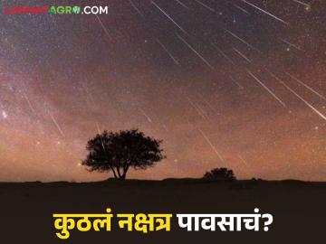 नक्षत्रांच्या वाहनांवरून कसा काढायचा पावसाचा अंदाज? कुठल्या नक्षत्रात सर्वदूर पाऊस?  - Marathi News | Latest news Monsoon rain How to predict rain from constellations see details | Latest News at Lokmat.com