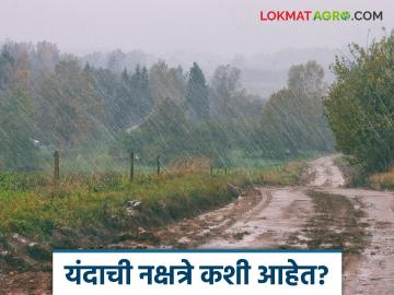 Rain Update : यंदा कुठल्या नक्षत्रात जोरदार पाऊस? अशी आहेत यंदाची नक्षत्रे - Marathi News | Latest News rain Update which nakshatra rain increased in 2025 see details | Latest News at Lokmat.com Rain Update : यंदा कुठल्या नक्षत्रात जोरदार पाऊस? अशी आहेत यंदाची नक्षत्रे - Marathi News | Latest News rain Update which nakshatra rain increased in 2025 see details | Latest News at Lokmat.com