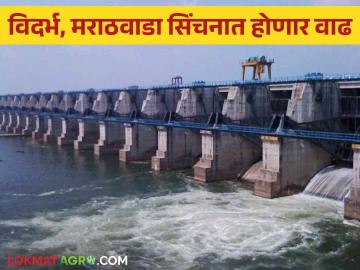 Wainganga Nalganga Linking Project : वैनगंगा-नळगंगा नदीजोड प्रकल्पास मान्यता; पावणेचार लाख हेक्टर क्षेत्राचे सिंचन होणार - Marathi News | Approval of Wainganga-Nalganga river linking project; Fifty four lakh hectares area will be irrigated | Latest News at Lokmat.com Wainganga Nalganga Linking Project : वैनगंगा-नळगंगा नदीजोड प्रकल्पास मान्यता; पावणेचार लाख हेक्टर क्षेत्राचे सिंचन होणार - Marathi News | Approval of Wainganga-Nalganga river linking project; Fifty four lakh hectares area will be irrigated | Latest News at Lokmat.com