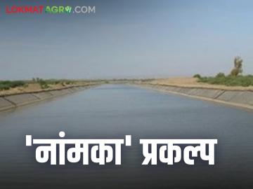 Godavari River Water : 'नांमका'च्या कालव्याचे काम पूर्णत्वास जाईना काय आहे कारण ते वाचा सविस्तर - Marathi News | Godavari River Water: Why the work of the 'Namak' canal will not be completed? Read in detail | Latest News at Lokmat.com