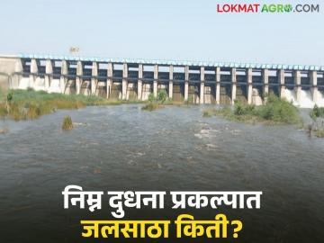 Nimna Dudhana Prakalpa : परतुरमध्ये दमदार पाऊस; निम्न दुधना धरणात तिप्पट पाणीसाठा वाचा सविस्तर - Marathi News | latest news Nimna Dudhana Prakalpa: Heavy rain in Partur; Water storage in Lower Dudhana Dam tripled Read in detail | Latest News at Lokmat.com Nimna Dudhana Prakalpa : परतुरमध्ये दमदार पाऊस; निम्न दुधना धरणात तिप्पट पाणीसाठा वाचा सविस्तर - Marathi News | latest news Nimna Dudhana Prakalpa: Heavy rain in Partur; Water storage in Lower Dudhana Dam tripled Read in detail | Latest News at Lokmat.com