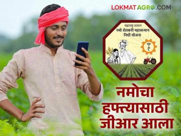 Namo Shetkari Hafta : नमोचा सहावा हफ्ता वितरणासाठी शासनाचा जीआर आला, वाचा काय म्हटलंय?   - Marathi News | Latest News Pm Kisan Scheme Government's GR for Namo shetkari yojana 6th installment, see details | Latest News at Lokmat.com