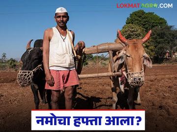 Agriculture Scheme : तुमचं शासकीय योजनांचे अनुदान बंद होण्याची अकरा कारणे अन् त्यावरील उपाय  - Marathi News | Latest news namo shetkari Yojana Eleven reasons why your government scheme subsidy may be stopped and solutions to them | Latest News at Lokmat.com