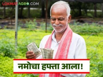 नमो योजनेचा आठवा हप्ता शेतकऱ्यांच्या बँक खात्यात जमा, पैसे आले की नाही असे करा चेक  - Marathi News | Latest News namo shetkari Yojana 8th installment of Namo Yojana deposited in farmers' bank accounts | Latest News at Lokmat.com