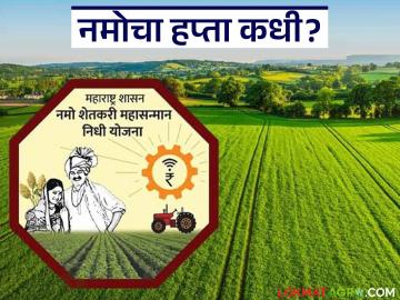 नमो शेतकरीचा आठवा हप्ता 'या' आठवड्यात शेतकऱ्यांच्या खात्यावर जमा होण्याची शक्यता - Marathi News | The eighth installment of Namo Shetkari is likely to be deposited in the accounts of farmers 'this week' | Latest News at Lokmat.com