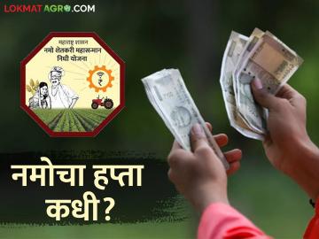 Namo Kisan Hapta : नमो किसान योजनेचा पुढील हप्ता कधी मिळणार? वाचा सविस्तर - Marathi News | Namo Kisan Hapta : When will the next installment of Namo Kisan Yojana be available? Read in detail | Latest News at Lokmat.com
