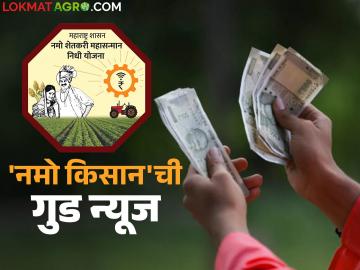 Namo Shetkari Yojana : नमो शेतकरी सन्मान निधीमध्ये होणार वाढ; शेतकऱ्यांना वर्षाकाठी मिळणार आता इतके पैसे - Marathi News | Namo Shetkari Yojana : Increase in Namo Shetkari Yojana Fund; Farmers will get so much money per year now | Latest News at Lokmat.com