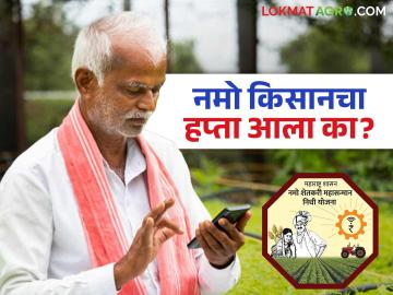 Namo Kisan Hapta : नमो किसानचा हप्ता जमा झाला कि नाही? हे तुमच्या मोबाईलवर कसे चेक कराल? - Marathi News | Namo Kisan Hapta : Has the installment of Namo Kisan been deposited or not? How to check this on your mobile? | Latest News at Lokmat.com Namo Kisan Hapta : नमो किसानचा हप्ता जमा झाला कि नाही? हे तुमच्या मोबाईलवर कसे चेक कराल? - Marathi News | Namo Kisan Hapta : Has the installment of Namo Kisan been deposited or not? How to check this on your mobile? | Latest News at Lokmat.com