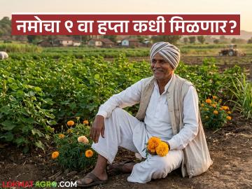 पीएम किसानचा २२ वा हप्ता आला मात्र नमो शेतकरीचा ९ वा हप्ता कधी? शेतकऱ्यांना प्रतीक्षा - Marathi News | PM Kisan's 22nd installment has arrived but when will the 9th installment of Namo Shetkari come? Farmers are waiting | Latest News at Lokmat.com पीएम किसानचा २२ वा हप्ता आला मात्र नमो शेतकरीचा ९ वा हप्ता कधी? शेतकऱ्यांना प्रतीक्षा - Marathi News | PM Kisan's 22nd installment has arrived but when will the 9th installment of Namo Shetkari come? Farmers are waiting | Latest News at Lokmat.com
