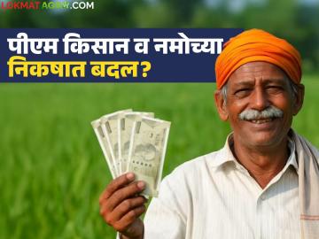२०१९ नंतर जमीन खरेदी केलेल्या शेतकऱ्यांनाही आता पीएम व नमो किसानचा लाभ मिळण्याची शक्यता; निकष बदलणार? - Marathi News | Farmers who purchased land after 2019 are now likely to get the benefits of PM and Namo Kisan; Will the criteria change? | Latest News at Lokmat.com