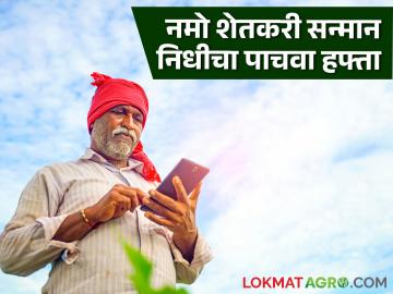 Namo Shetkari Yojana : नमो शेतकरी महासन्मान निधीच्या पाचव्या हफ्त्यास मंजुरी, जाणून घ्या सविस्तर  - Marathi News | Latest News Namo shtekari Yojana Approval of 5th Installment of Namo Shetkari Mahasanman Nidhi, know in detail  | Latest News at Lokmat.com