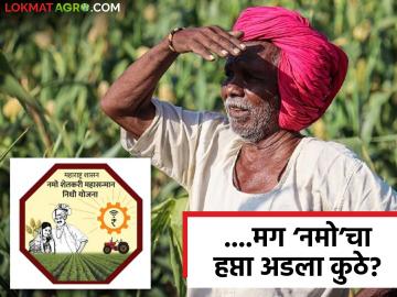 Namo Shetkari Samman Nidhi : पीएम किसानचे पैसे आले… पण 'नमो'चा हप्ता कुठे अडकला? वाचा सविस्तर - Marathi News | latest news Namo Shetkari Samman Nidhi: PM Kisan's money has arrived... but where is the installment of 'Namo' stuck? Read in detail | Latest News at Lokmat.com