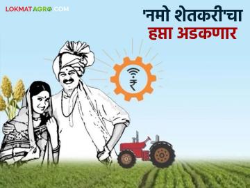 Namo Shetkari Hapta : नमो शेतकरीच्या ६ व्या हप्त्याचा निर्णय झाला; हप्ता मिळणार का? वाचा सविस्तर - Marathi News | Namo Shetkari Hapta : The 6th installment of Namo Shetkari has been decided; Will I get the installment? Read in detail | Latest News at Lokmat.com