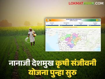 नव्या ७ हजार गावांचा समावेश करत नानाजी देशमुख कृषी संजीवनी योजनच्या दुसऱ्या टप्प्याला मंत्रिमंडळाची मंजुरी - Marathi News | Cabinet approves second phase of Nanaji Deshmukh Krishi Sanjeevani Yojana including new 7 thousand villages | Latest News at Lokmat.com