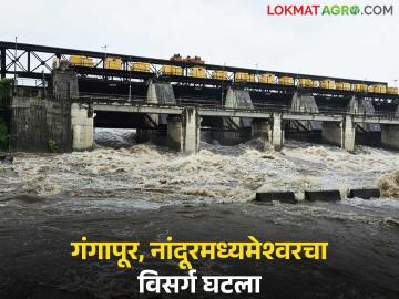 Gangapur Dam : गंगापूरसह नांदूरमध्यमेश्वरचा विसर्ग घटला; गोदावरीचा पूर ओसरला! - Marathi News | Latest news Discharge from Gangapur and Nandur Madhyameshwar has decreased; Godavari floods have receded! | Latest News at Lokmat.com Gangapur Dam : गंगापूरसह नांदूरमध्यमेश्वरचा विसर्ग घटला; गोदावरीचा पूर ओसरला! - Marathi News | Latest news Discharge from Gangapur and Nandur Madhyameshwar has decreased; Godavari floods have receded! | Latest News at Lokmat.com