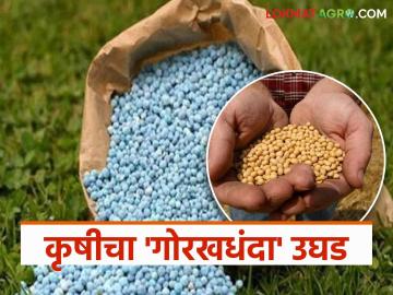 Fake Seeds : नांदेडमध्ये बोगस बियाण्यांच्या रॅकेटला 'कृषी'ची साथ; शेतकऱ्यांचा संताप उसळला - Marathi News | latest news Fake Seeds: Agriculture department supports fake seeds racket in Nanded; Farmers' anger erupts | Latest News at Lokmat.com