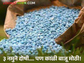 Fertilizers and Seeds Update : खते-बियाण्यांवरून शेतकऱ्यांची फरफट; बड्या व्यापाऱ्यांवर कारवाई होणार? वाचा सविस्तर - Marathi News | latest news Fertilizers and Seeds Update: Farmers' anger over fertilizers and seeds; Will action be taken against big traders? Read in detail | Latest News at Lokmat.com