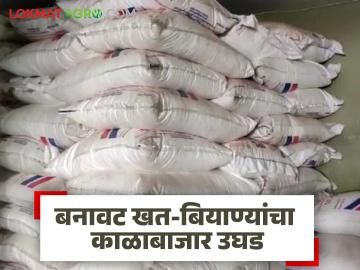 सीमावर्ती भागातून बोगस बियाण्यांची घुसखोरी; नांदेडसह मराठवाड्यात काळाबाजार उघड! वाचा सविस्तर - Marathi News | Infiltration of bogus seeds from border areas; Black market exposed in Marathwada including Nanded! Read in detail | Latest News at Lokmat.com सीमावर्ती भागातून बोगस बियाण्यांची घुसखोरी; नांदेडसह मराठवाड्यात काळाबाजार उघड! वाचा सविस्तर - Marathi News | Infiltration of bogus seeds from border areas; Black market exposed in Marathwada including Nanded! Read in detail | Latest News at Lokmat.com