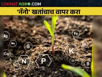 रासायनिक खतांवरील खर्च कमी करून 'नॅनो' खतांचा वापर वाढवा - Marathi News | Increase use of 'nano' fertilizers by reducing expenditure on chemical fertilizers | Latest News at Lokmat.com