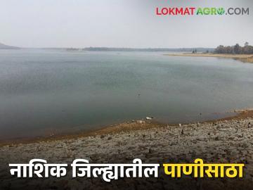 Nashik Dam Storage : नाशिक जिल्ह्यातील सहा धरणे शून्यावर, उर्वरित धरणांत केवळ 16 टक्के जलसाठा - Marathi News | Latest News Only 16.37 percent water storage in 24 projects in Nashik district | Latest News at Lokmat.com