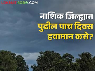 नाशिक जिल्ह्यात पुढील पाच दिवस हवामान कसे? वाचा हवामान अंदाज  - Marathi News | Latest news weather in Nashik district for next five days? Read weather forecast | Latest News at Lokmat.com