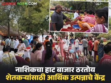 नाशिकचा शेतकरी हाट बाजार, वर्षभर एकच रेट, दोन तासांत भाजीपाला संपून जातो! - Marathi News | Latest News Nashik's farmers organic vegetbale market in udhoji maratha mording school on every sunday | Latest News at Lokmat.com