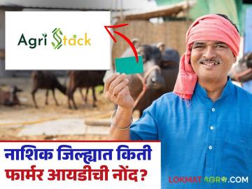 Farmer Id Registration : नाशिक जिल्ह्यात 'हा' तालुका 'फार्मर आयडी' नोंदणीत आघाडीवर, वाचा सविस्तर  - Marathi News | Latest News Nandgoan taluka in Nashik district leads in 'Farmer ID' registration, read in detail | Latest News at Lokmat.com