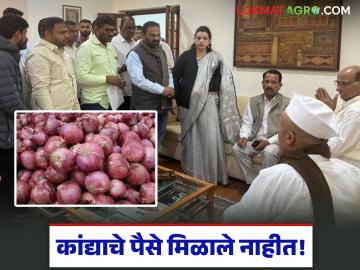 नाशिकच्या कांदा उत्पादक शेतकऱ्यांना अजूनही 'ते' पेमेंट मिळाले नाही; शेतकरी थेट दिल्लीत ! नाशिकच्या कांदा उत्पादक शेतकऱ्यांना अजूनही 'ते' पेमेंट मिळाले नाही; शेतकरी थेट दिल्लीत !