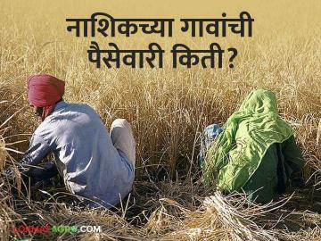 Agriculture News : नाशिक जिल्ह्यातील 1962 गावे शासकीय मदतकक्षेतुन बाहेर, जाणून घ्या सविस्तर  - Marathi News | Agriculture News : 1962 villages in Nashik district are out of government assistance, know in detail  | Latest News at Lokmat.com