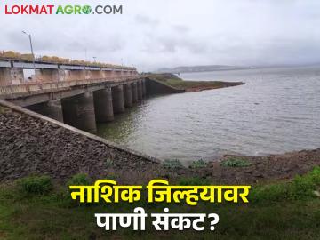 नाशिक जिल्ह्यातील धरणांतील पाणी पातळी घटतेय, कोणत्या धरणांत किती पाणी? - Marathi News | Latest News Water level in dams in Nashik district is decreasing | Latest News at Lokmat.com