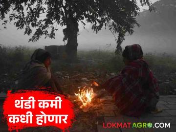 Maharashtra Cold Wave: महाराष्ट्रात ख्रिसमस दरम्यान थंडीची लाट, ही थंडी नेमकी कधी कमी होणार, वाचा सविस्तर 