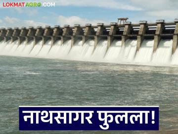 Jayakwadi Dam Update : जायकवाडी धरणातून पुन्हा पाण्याचा विसर्ग; किती उघडले दरवाजे वाचा सविस्तर - Marathi News | latest news Jayakwadi Dam Update: Water released from Jayakwadi Dam again; Read in detail how many gates were opened | Latest News at Lokmat.com Jayakwadi Dam Update : जायकवाडी धरणातून पुन्हा पाण्याचा विसर्ग; किती उघडले दरवाजे वाचा सविस्तर - Marathi News | latest news Jayakwadi Dam Update: Water released from Jayakwadi Dam again; Read in detail how many gates were opened | Latest News at Lokmat.com