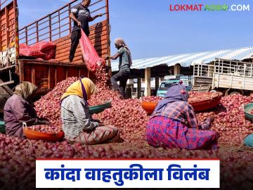 NCCF Kanda Kharedi : 'एनसीसीएफ'मार्फत कांदा खरेदी, वाहतूक खोळंबली, साठवलेला कांदा गोदामातच - Marathi News | Onion procurement through 'NCCF', transportation disrupted, stored onions remain in the godown | Latest News at Lokmat.com NCCF Kanda Kharedi : 'एनसीसीएफ'मार्फत कांदा खरेदी, वाहतूक खोळंबली, साठवलेला कांदा गोदामातच - Marathi News | Onion procurement through 'NCCF', transportation disrupted, stored onions remain in the godown | Latest News at Lokmat.com